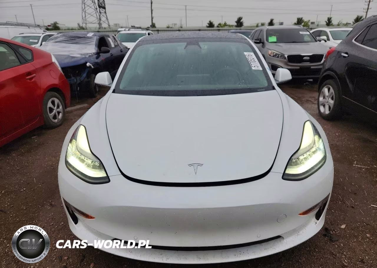 2019 Tesla Model 3 VIN:5YJ3E1EA0KF484827 - 5