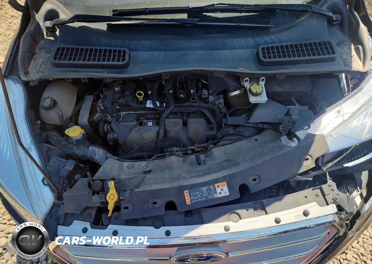 2017 Ford Escape VIN:1FMCU0G95HUB20060 - 12