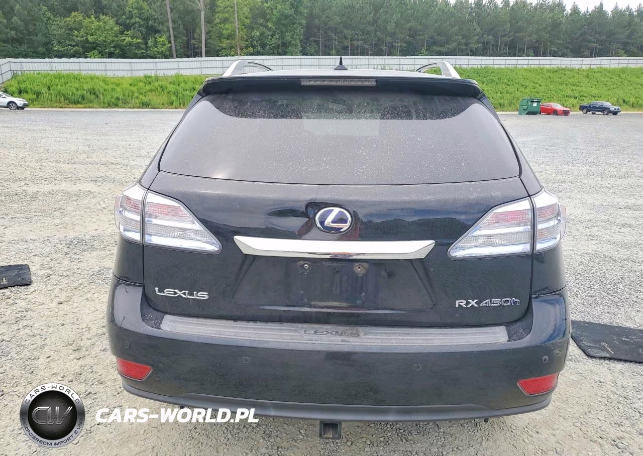 2010 Lexus Rx 450H VIN:JTJBC1BA0A2014740 - 6