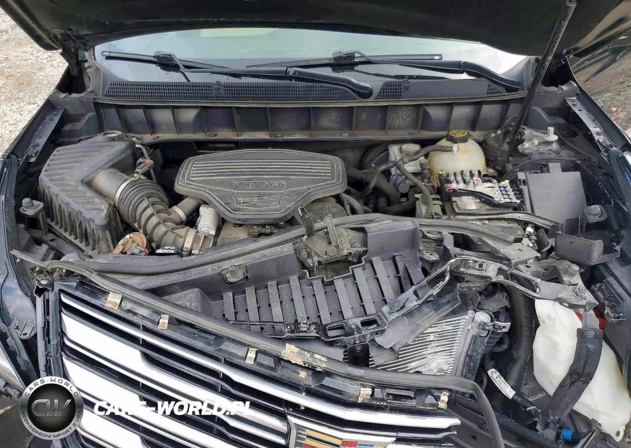 2019 Cadillac Xt5 Luxury VIN:1GYKNDRS6KZ291294 - 12