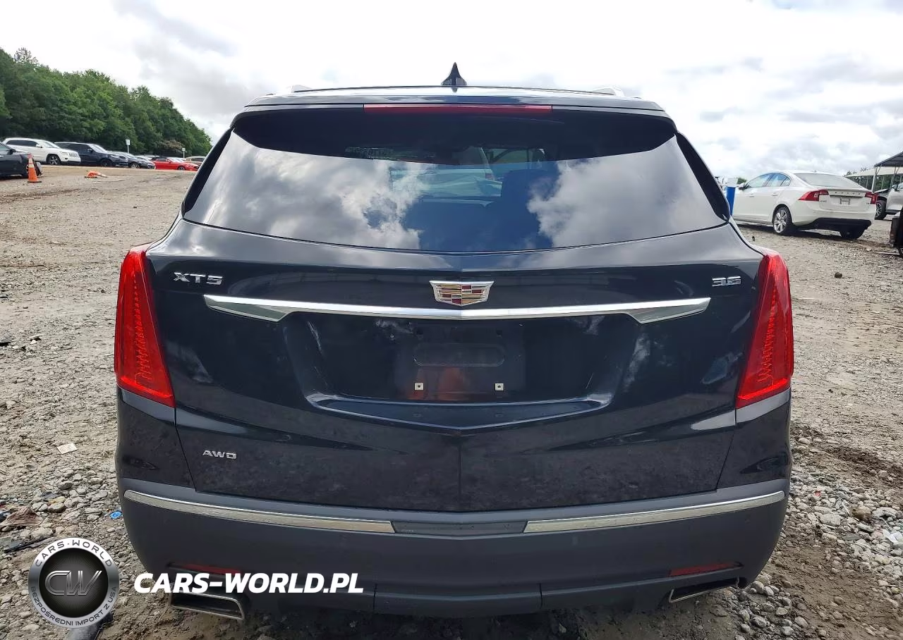 2019 Cadillac Xt5 Luxury VIN:1GYKNDRS6KZ291294 - 6