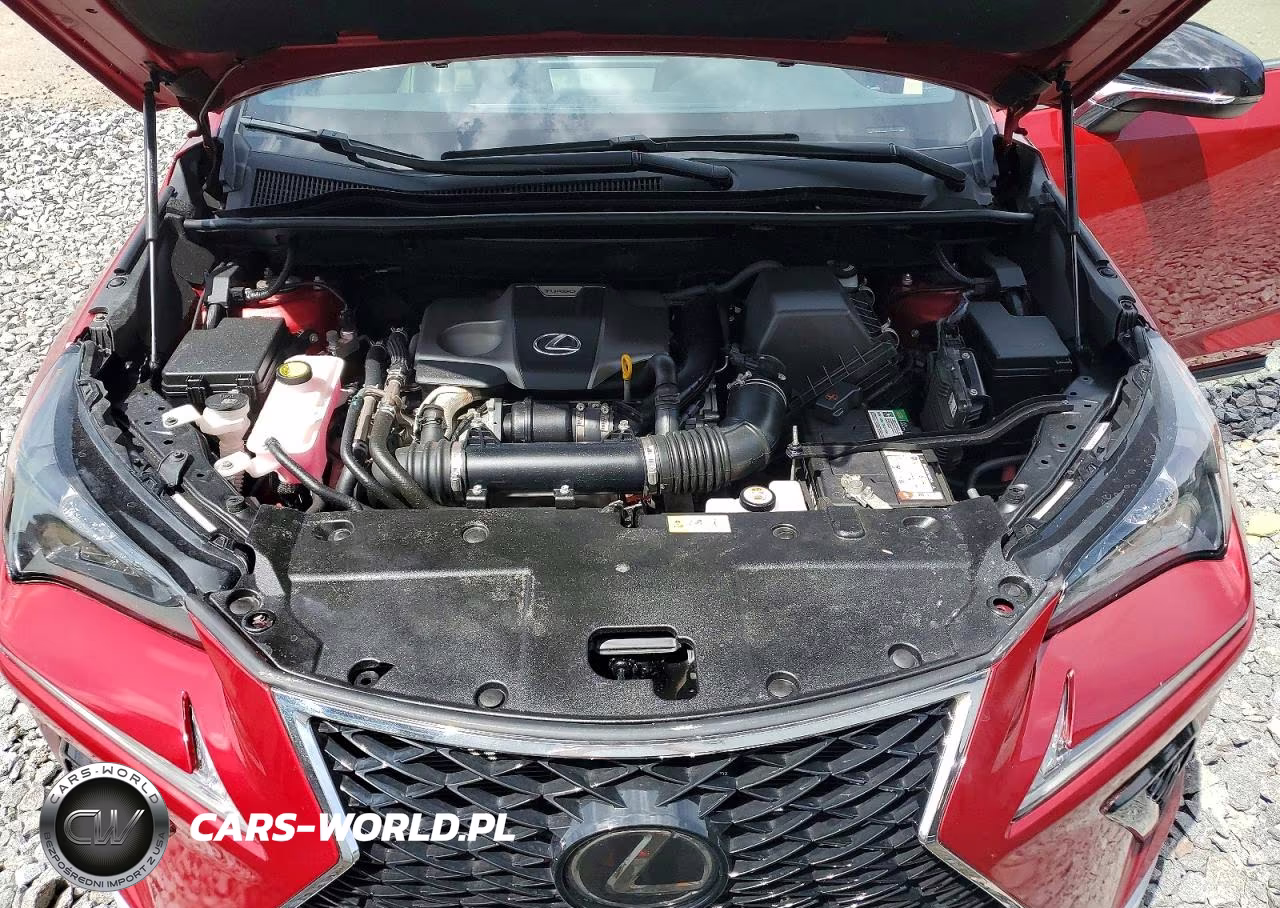 2018 Lexus Nx VIN:JTJBARBZ9J2155204 - 11