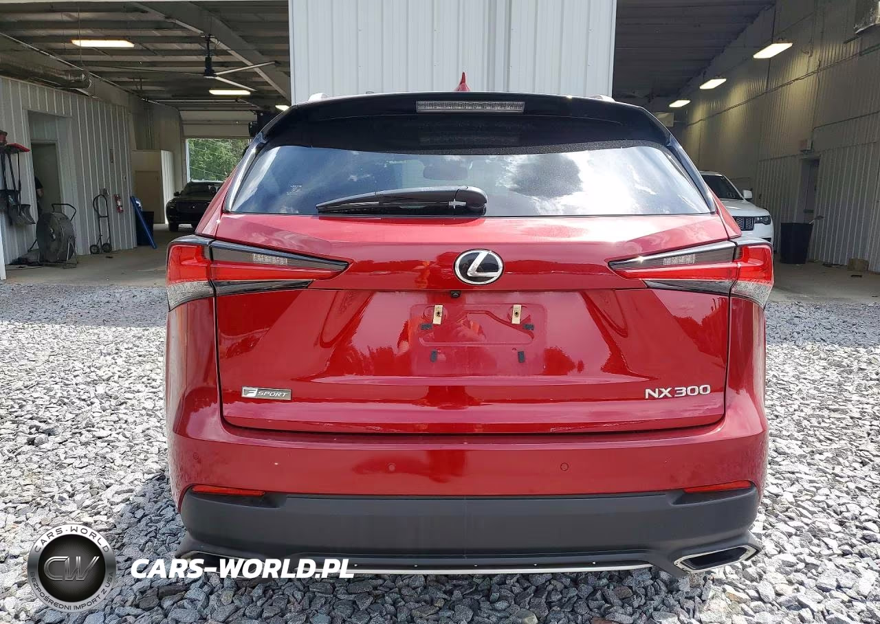 2018 Lexus Nx VIN:JTJBARBZ9J2155204 - 6