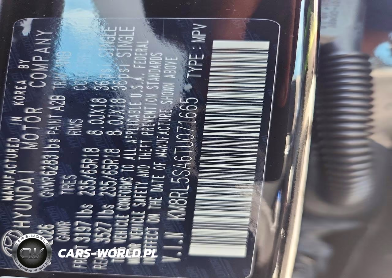 2026 Hyundai Palisade Blue Sel VIN:KM8RL5SA6TU071665 - 13