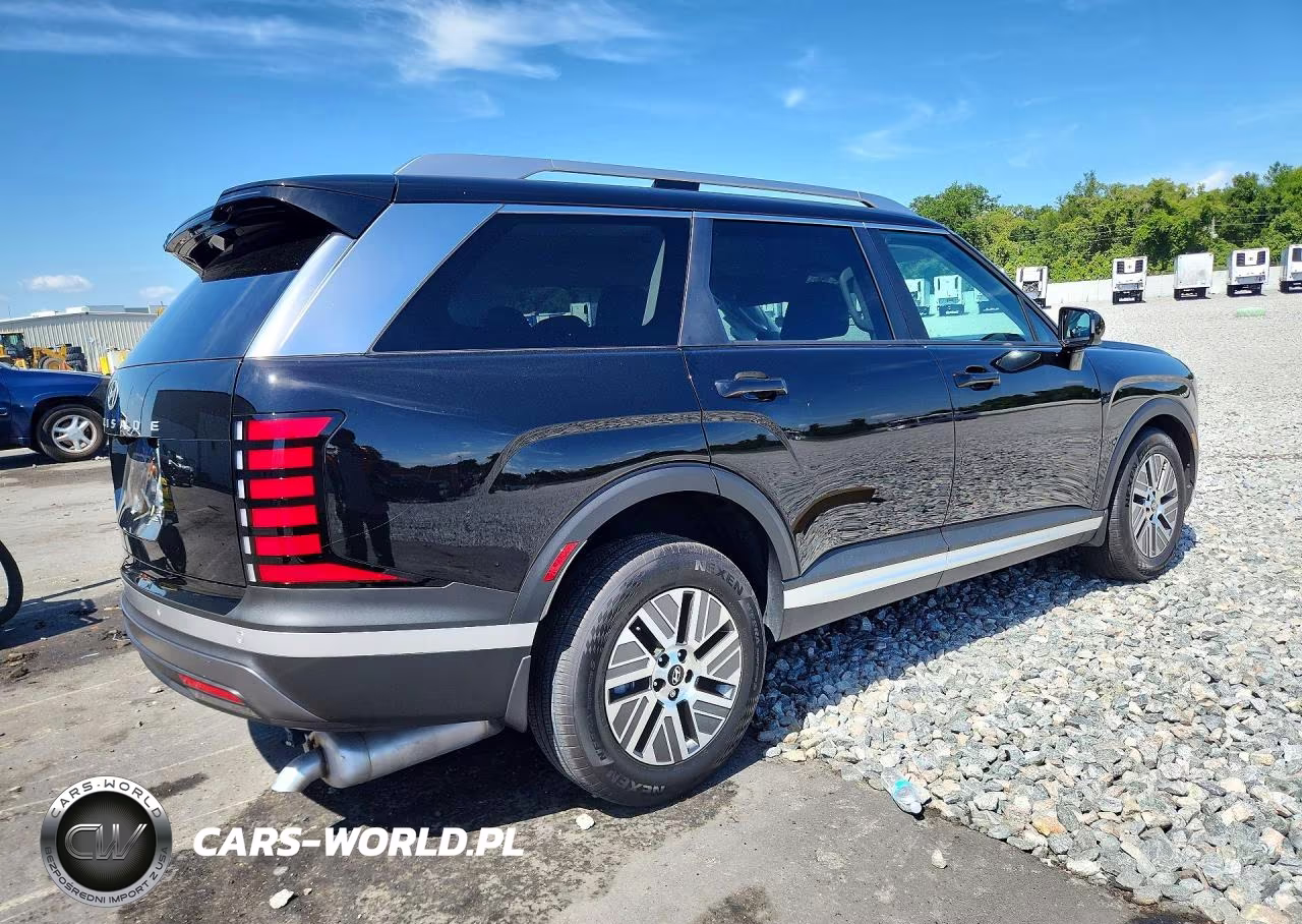 2026 Hyundai Palisade Blue Sel VIN:KM8RL5SA6TU071665 - 3