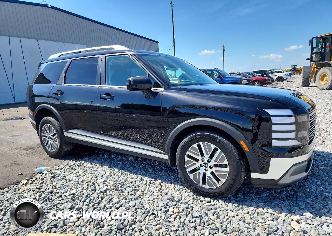 2026 Hyundai Palisade Blue Sel VIN:KM8RL5SA6TU071665 - 4