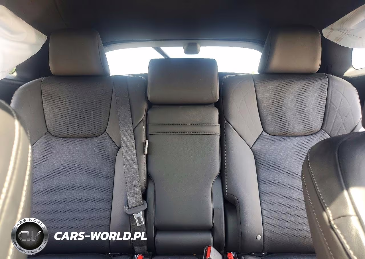 2023 Lexus Rx 350 Premium+ VIN:2T2BAMCA4PC030812 - 10