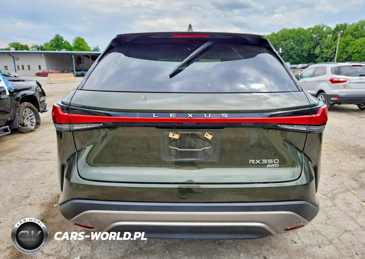 2023 Lexus Rx 350 Premium+ VIN:2T2BAMCA4PC030812 - 6