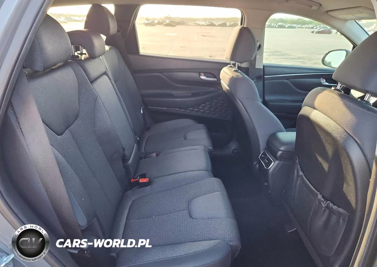 2023 Hyundai Santa Fe Sel VIN:5NMS2DAJXPH551550 - 10