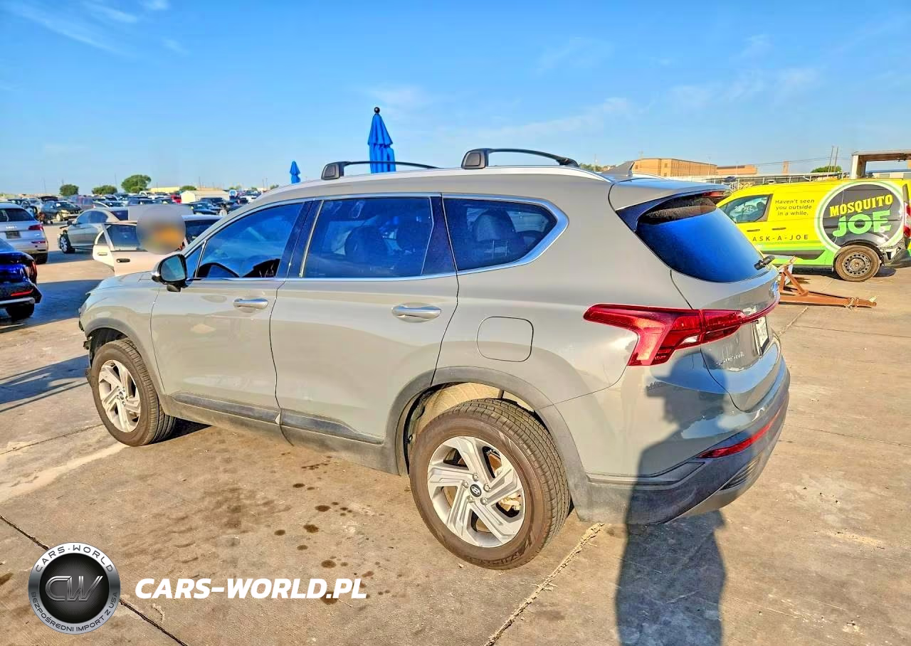 2023 Hyundai Santa Fe Sel VIN:5NMS2DAJXPH551550 - 2