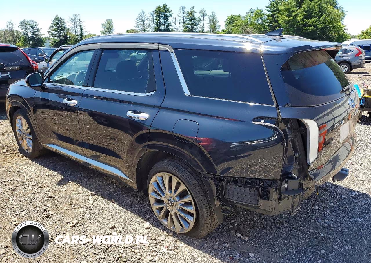 2020 Hyundai Palisade Limited VIN:KM8R5DHE6LU108213 - 2