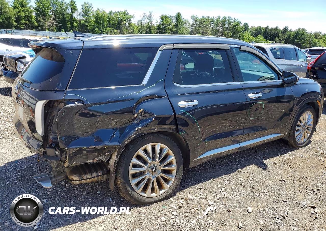 2020 Hyundai Palisade Limited VIN:KM8R5DHE6LU108213 - 3