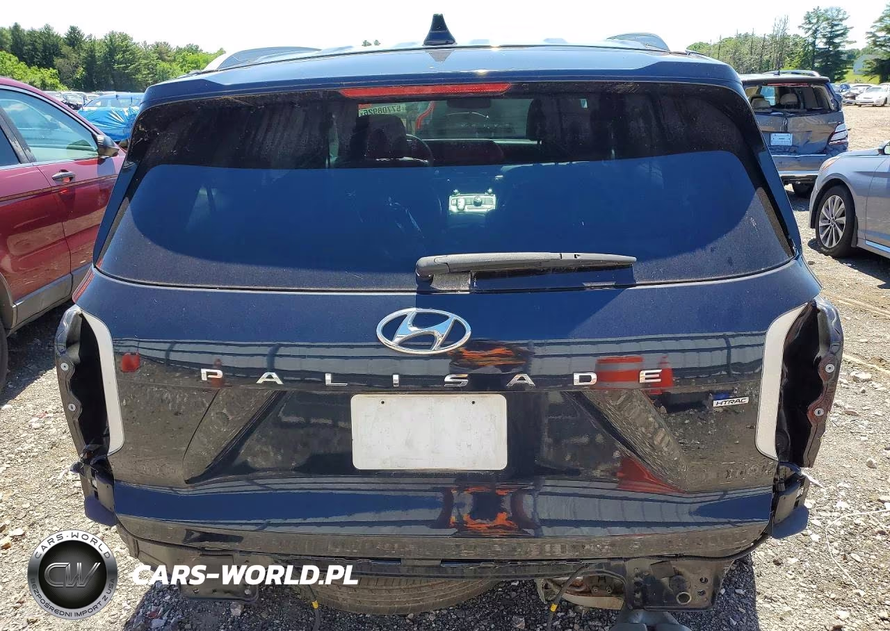 2020 Hyundai Palisade Limited VIN:KM8R5DHE6LU108213 - 6