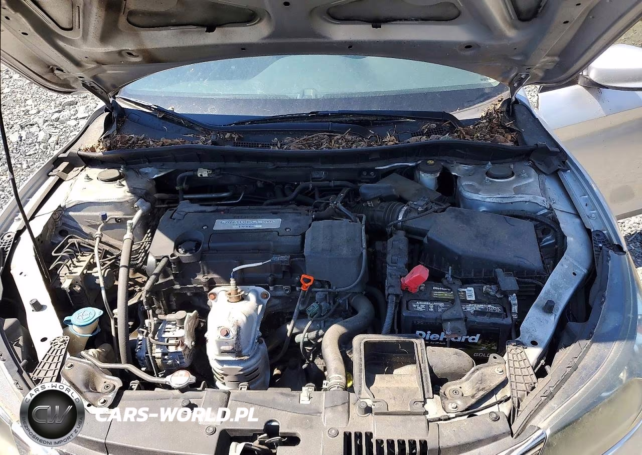 2014 Honda Accord Lx VIN:1HGCR2F30EA304481 - 11