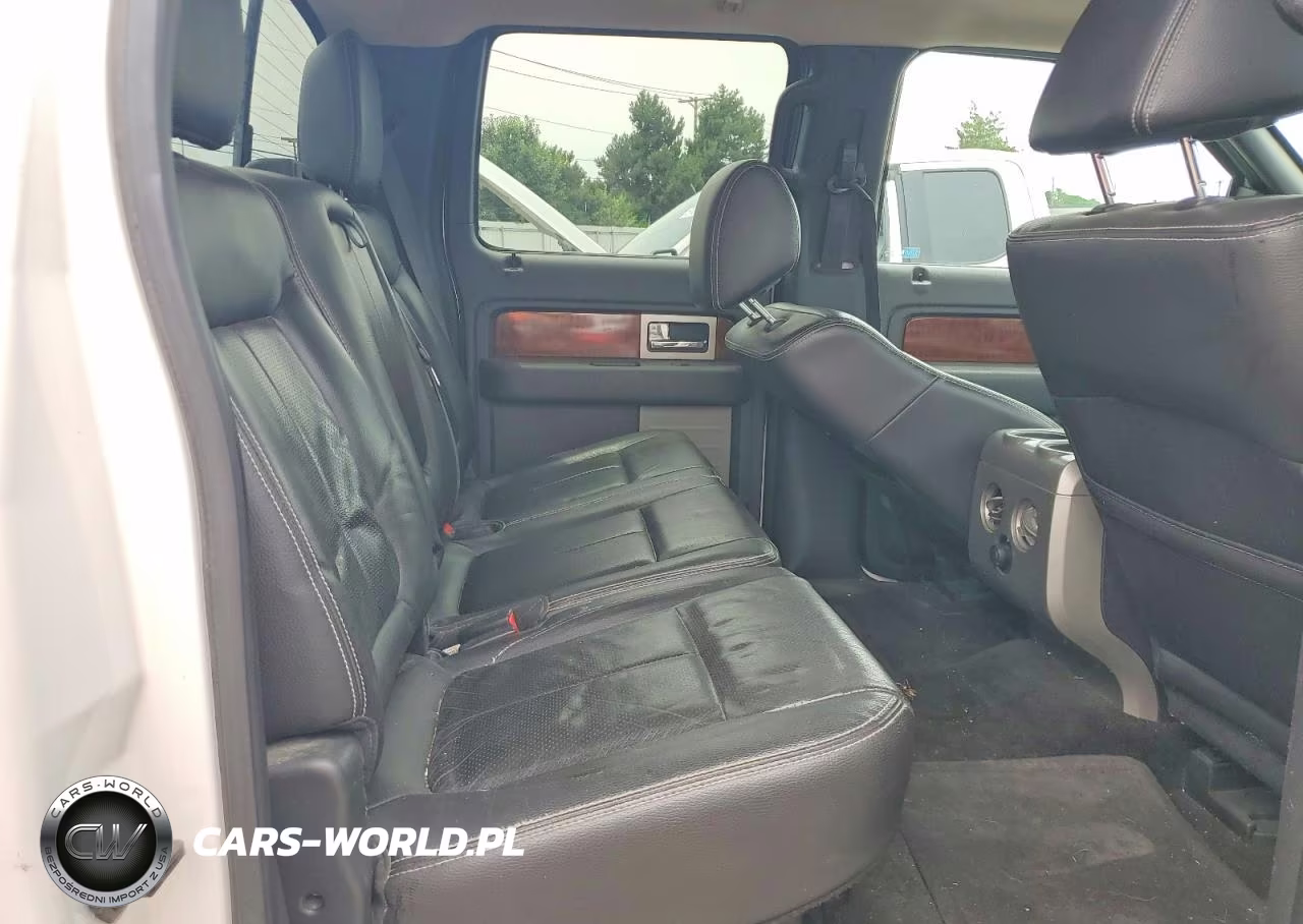 2010 Ford F150 Supercrew VIN:1FTFW1EV9AFB22647 - 10