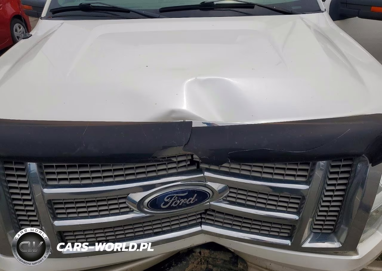 2010 Ford F150 Supercrew VIN:1FTFW1EV9AFB22647 - 11