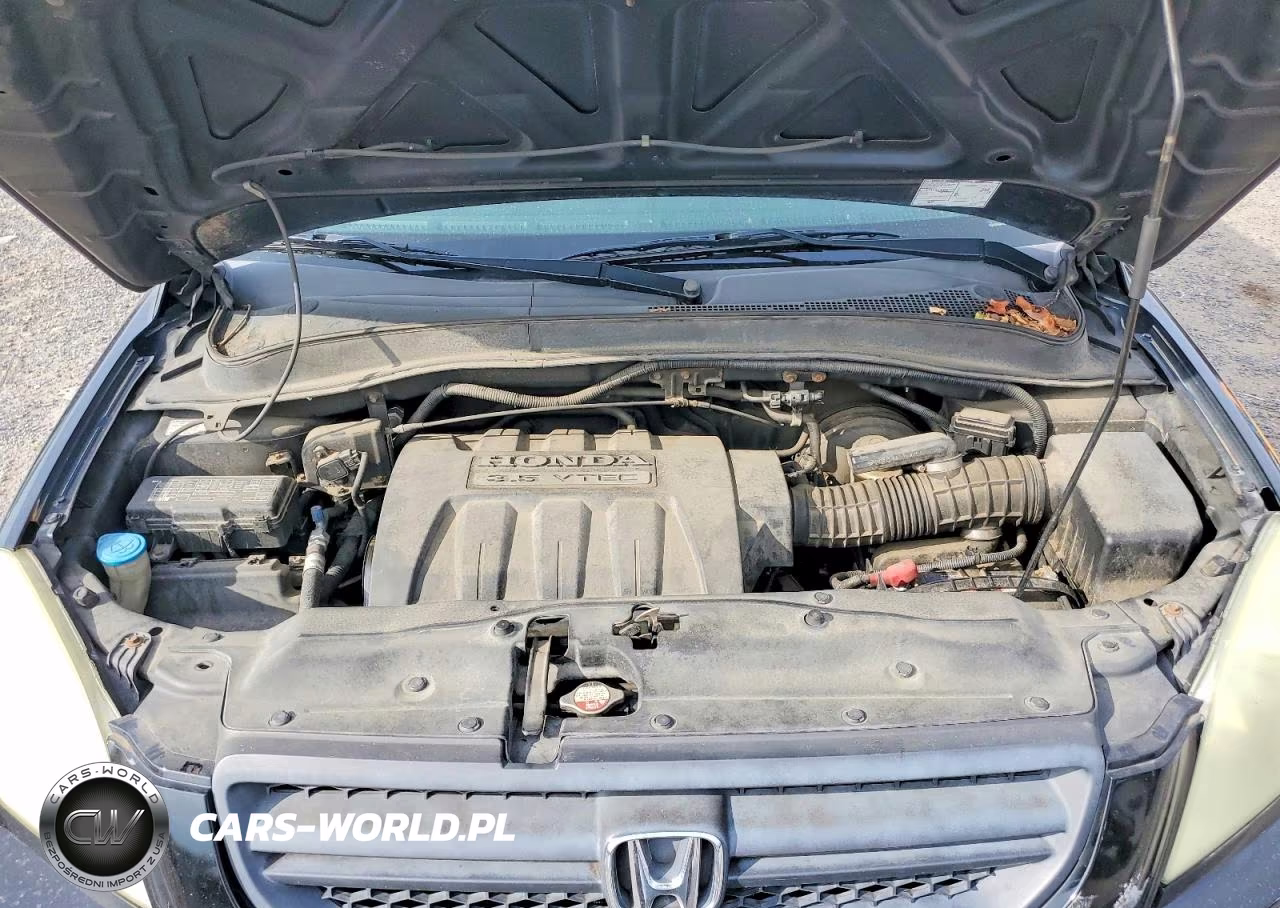 2005 Honda Pilot Exl VIN:5FNYF18535B031453 - 12
