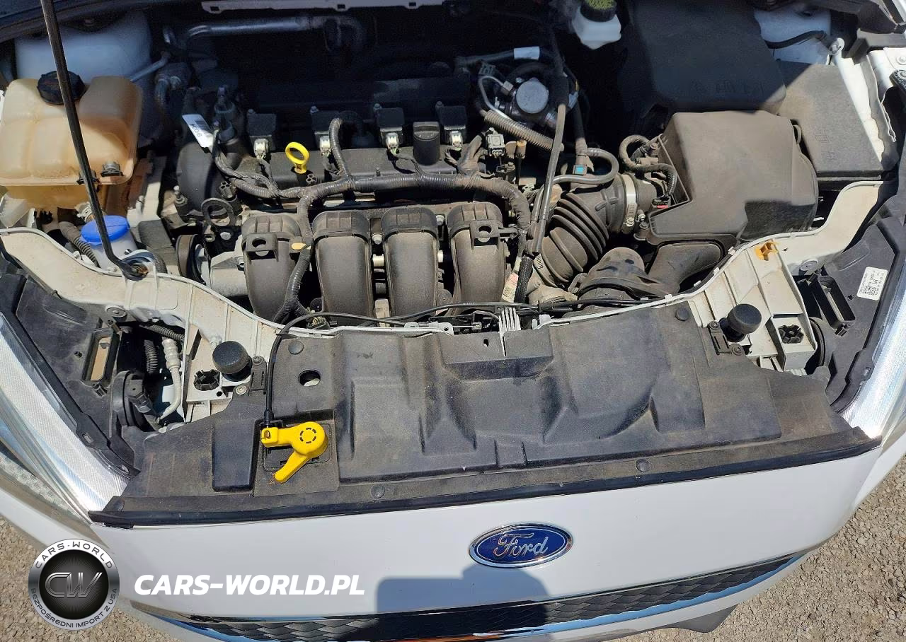 2018 Ford Focus Se VIN:1FADP3F28JL225781 - 11