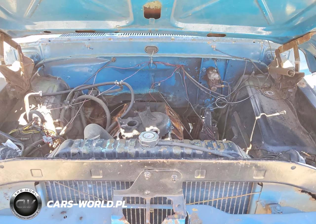 1969 Ford F250 VIN:F25YRD96679 - 11