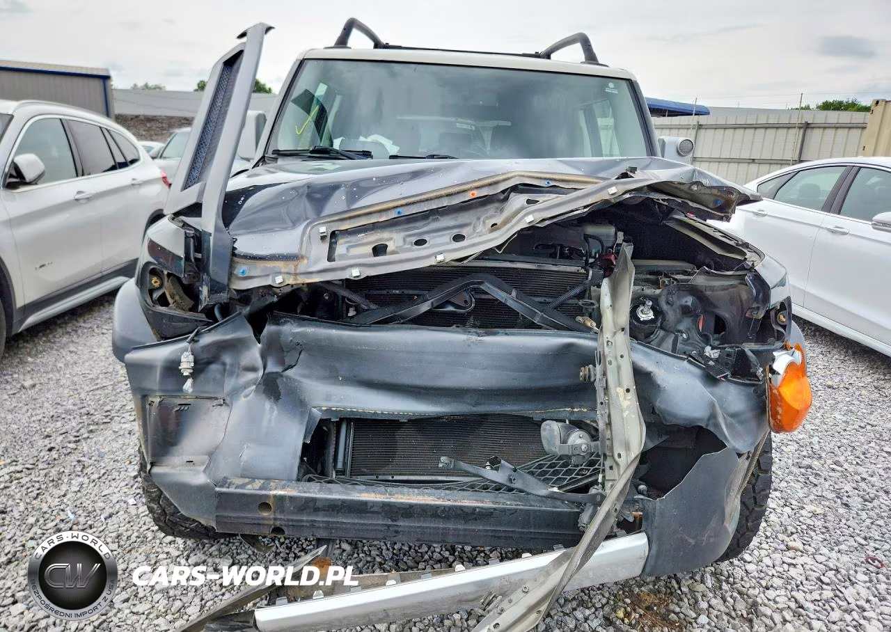 2011 Toyota Fj Cruiser Base VIN:JTEZU4BF1BK010866 - 5