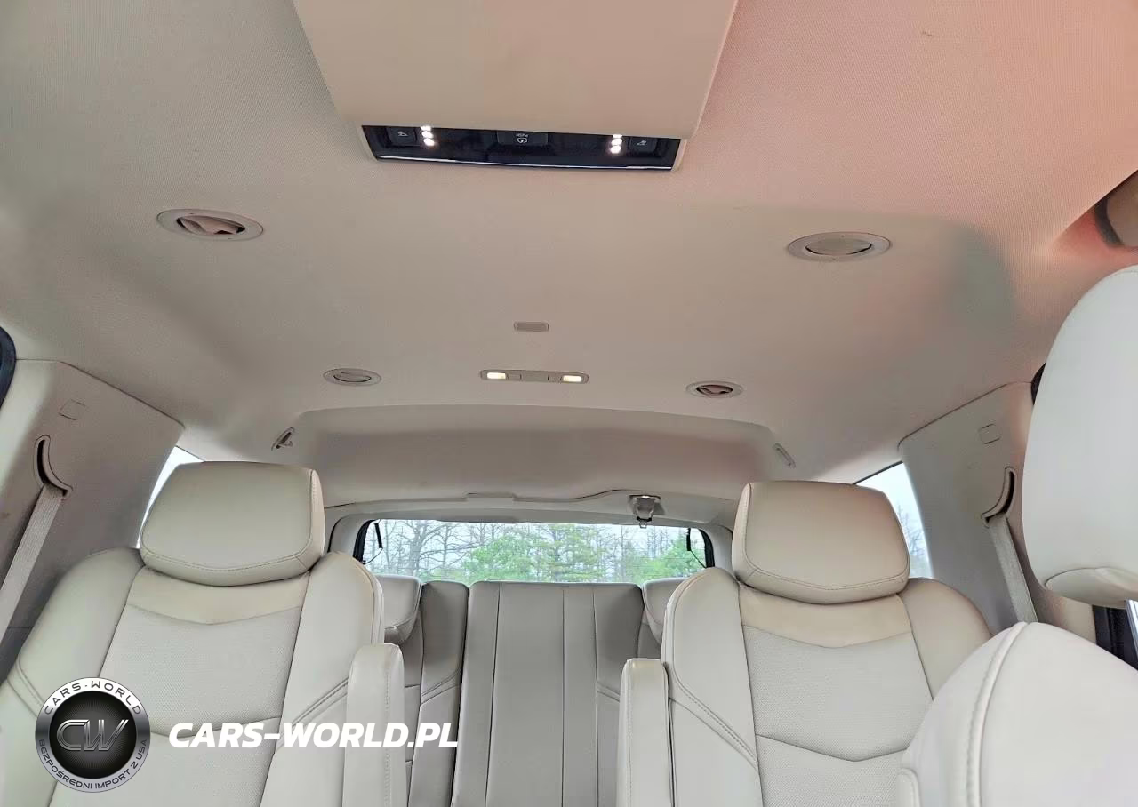 2015 Cadillac Escalade Luxury VIN:1GYS4MKJ9FR582396 - 10