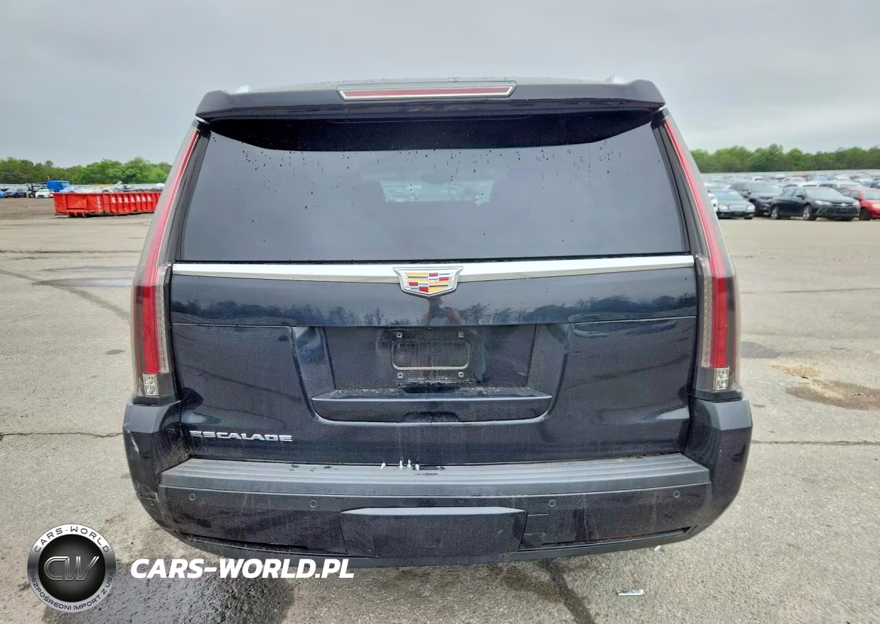 2015 Cadillac Escalade Luxury VIN:1GYS4MKJ9FR582396 - 6