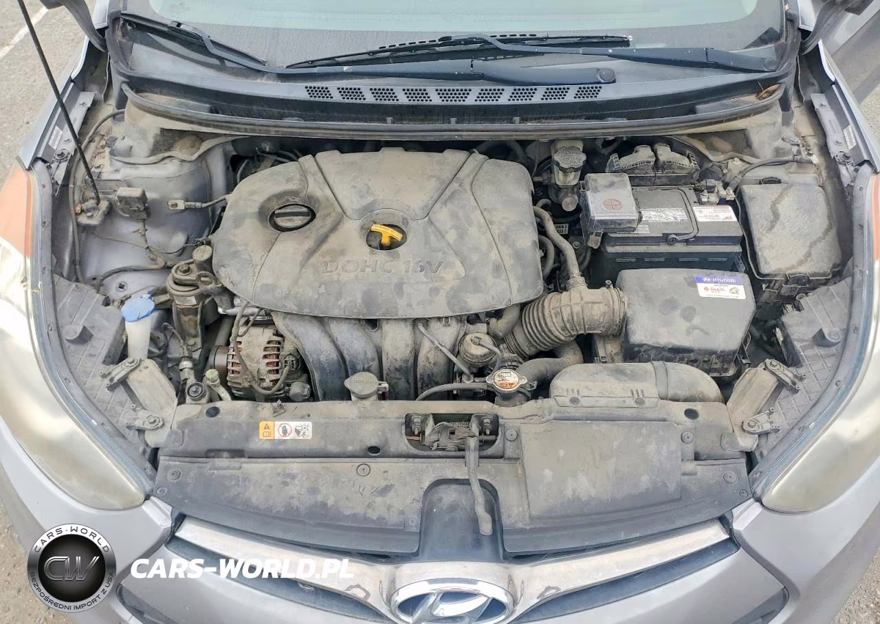 2013 Hyundai Elantra Coupe Gs VIN:KMHDH6AE5DU003638 - 11