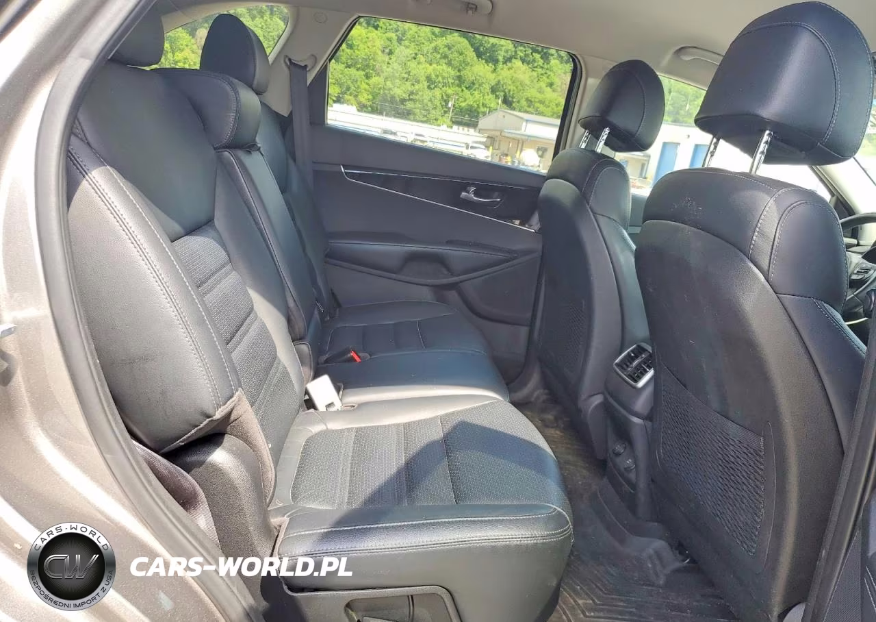 2017 Kia Sorento Lx VIN:5XYPGDA31HG291981 - 11