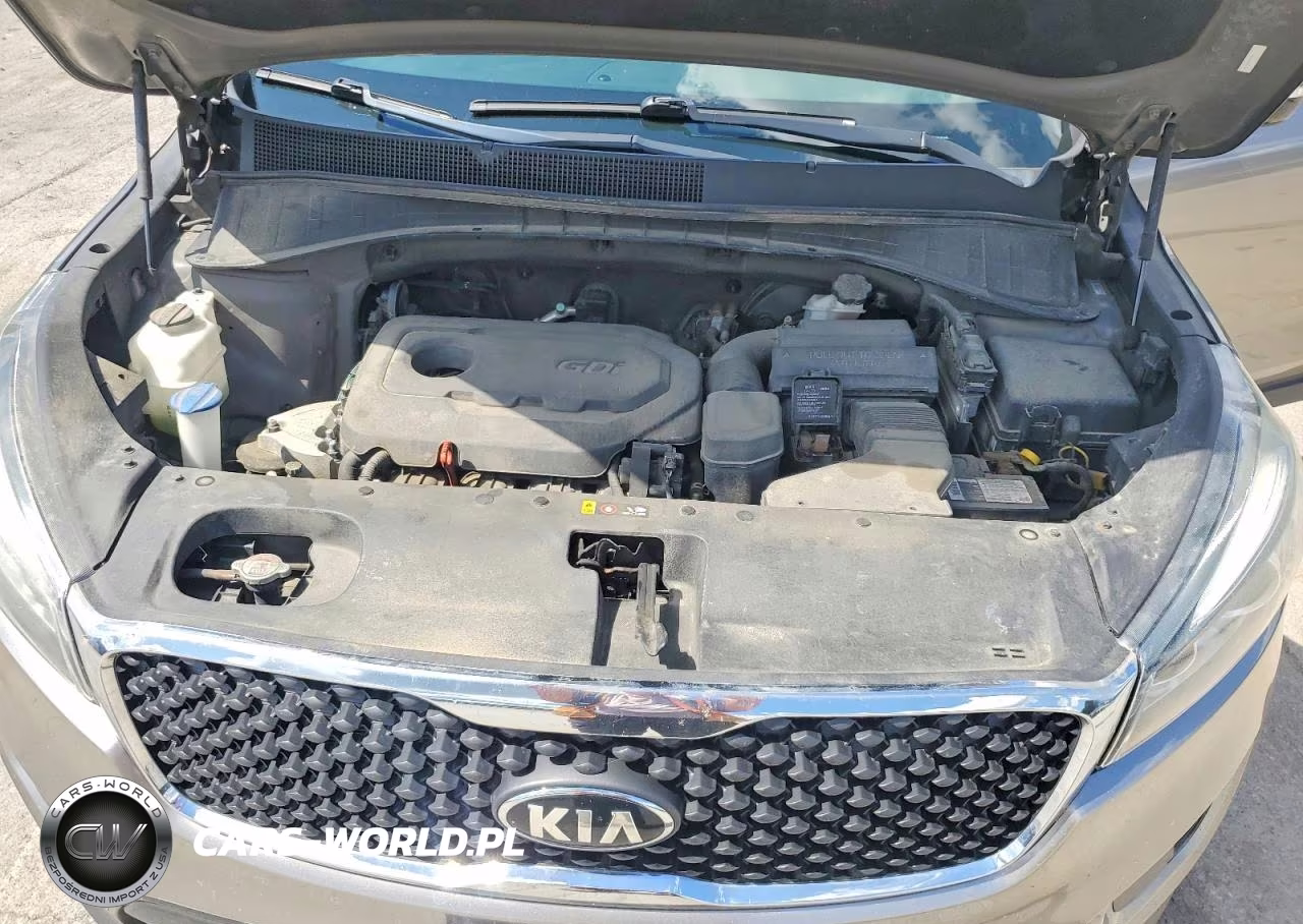 2017 Kia Sorento Lx VIN:5XYPGDA31HG291981 - 12