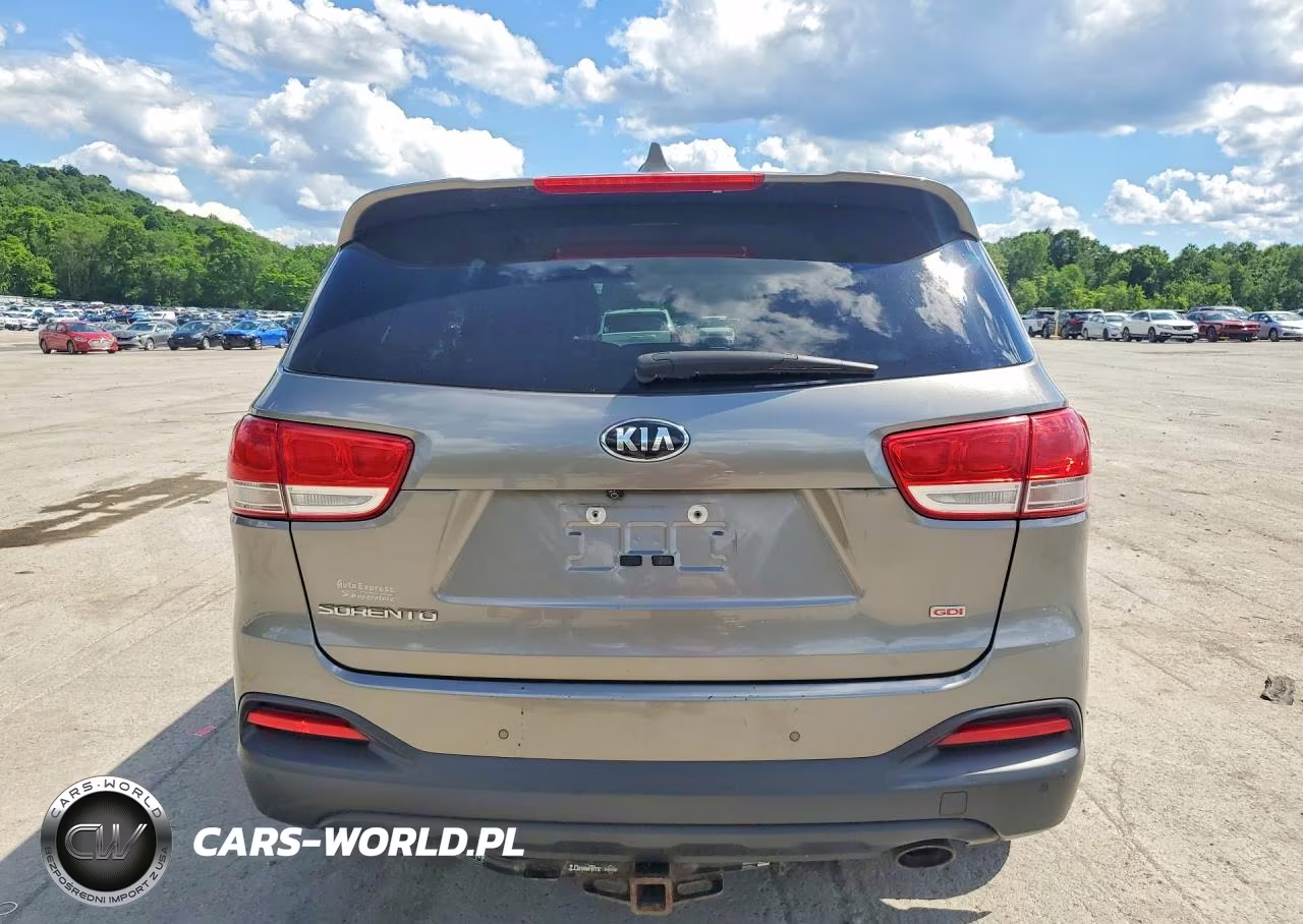 2017 Kia Sorento Lx VIN:5XYPGDA31HG291981 - 6