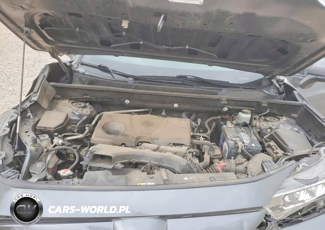 2019 Toyota Rav4 Xle VIN:JTMW1RFV6KD039380 - 12