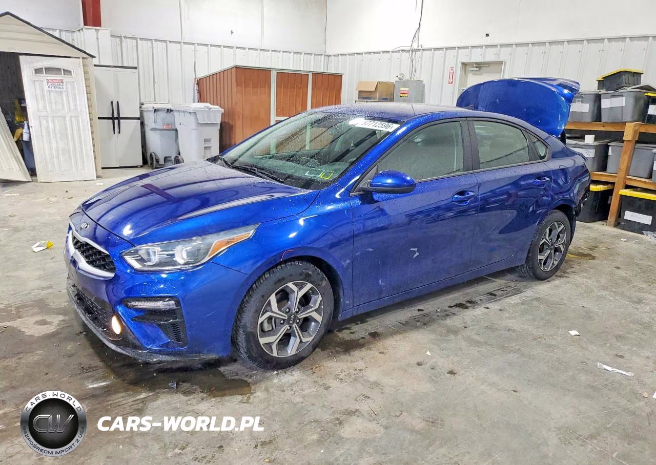 2019 Kia Forte Lxs