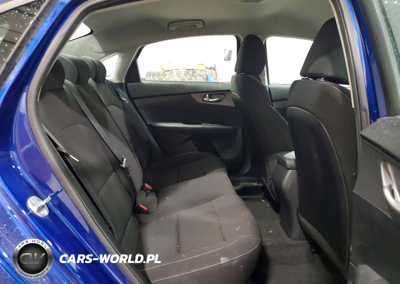 2019 Kia Forte Lxs VIN:3KPF24AD1KE125418 - 10