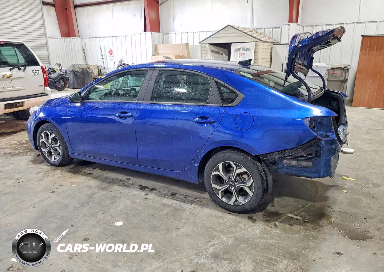 2019 Kia Forte Lxs VIN:3KPF24AD1KE125418 - 2