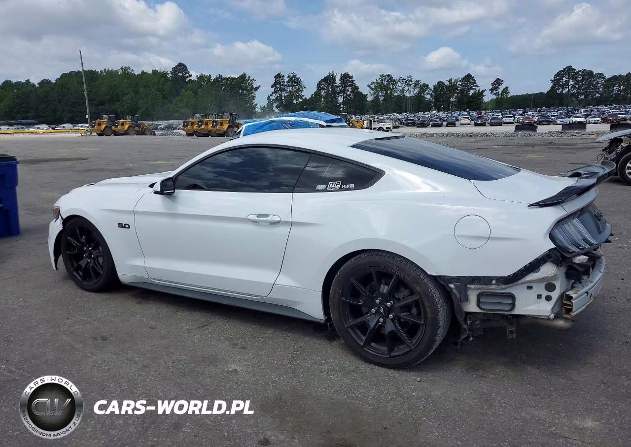 2017 Ford Mustang Gt VIN:1FA6P8CF3H5342356 - 2