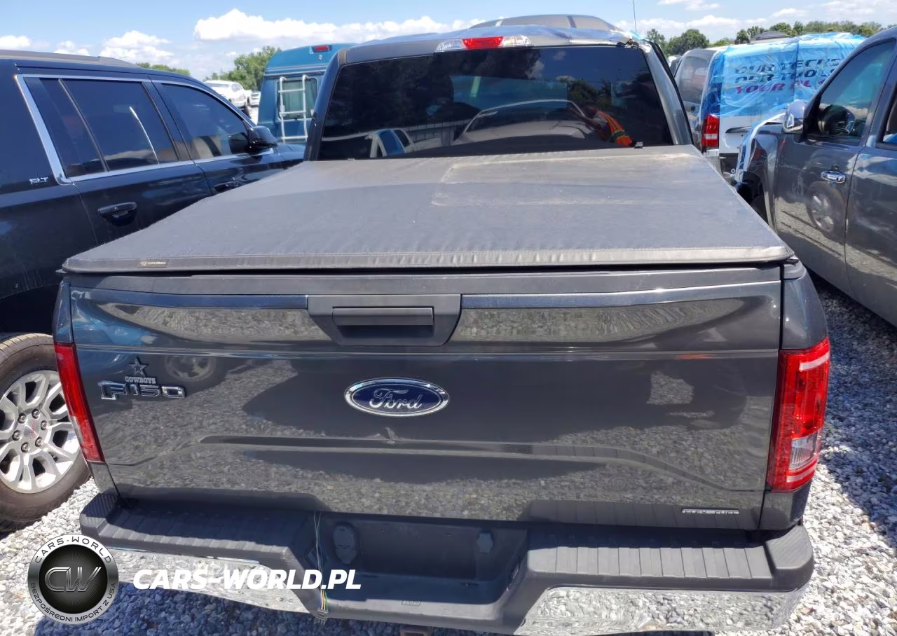 2016 Ford F150 Supercrew VIN:1FTEW1C84GFC60453 - 6