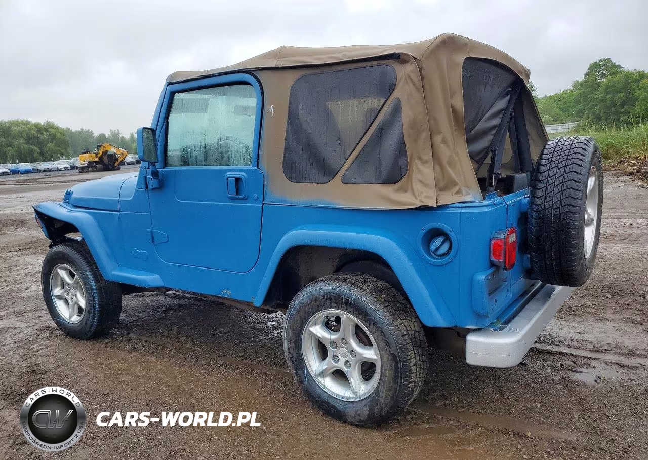 2002 Jeep Wrangler - Tj Se VIN:1J4FA29P02P769458 - 2