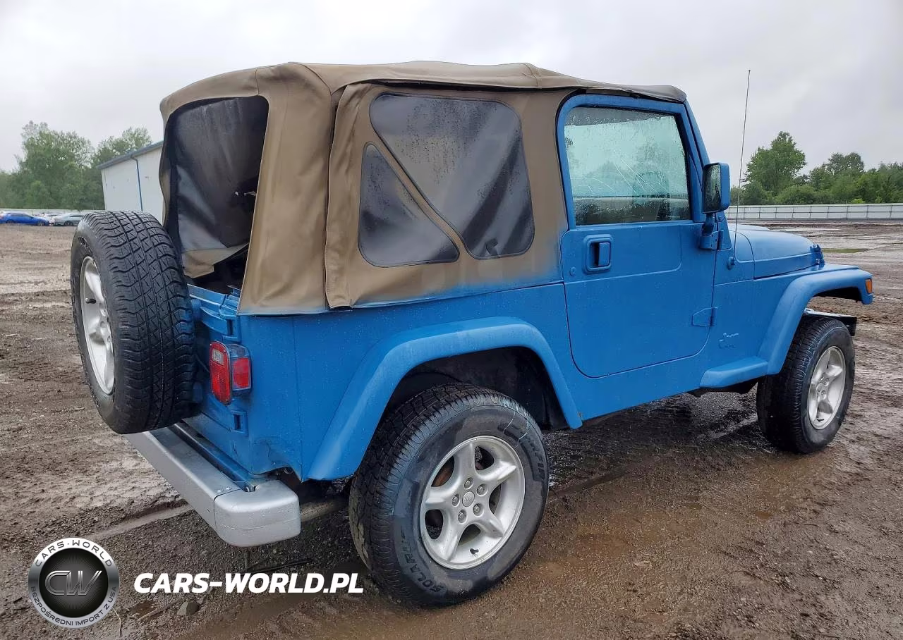 2002 Jeep Wrangler - Tj Se VIN:1J4FA29P02P769458 - 3