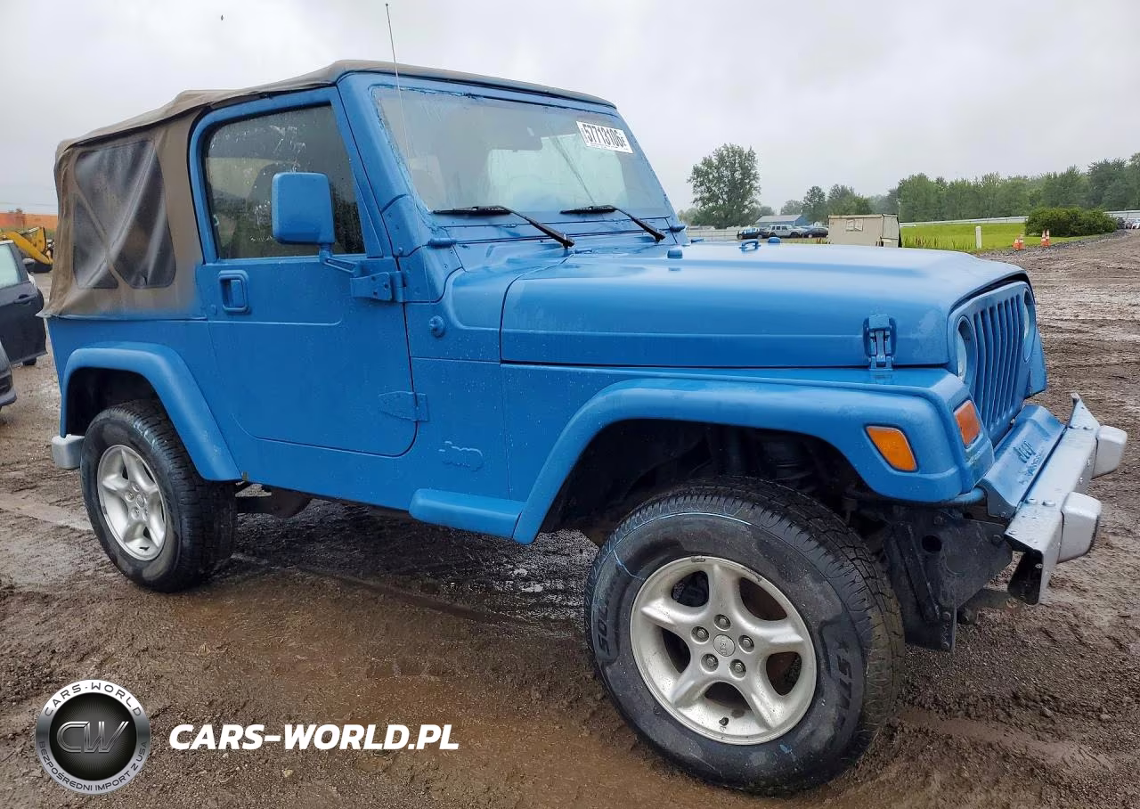 2002 Jeep Wrangler - Tj Se VIN:1J4FA29P02P769458 - 4