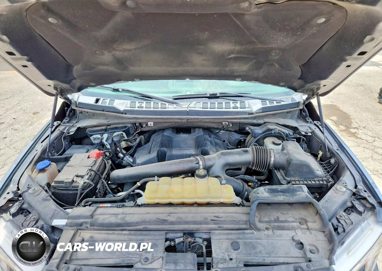 2020 Ford F150 Supercrew VIN:1FTEW1E47LKE94839 - 11