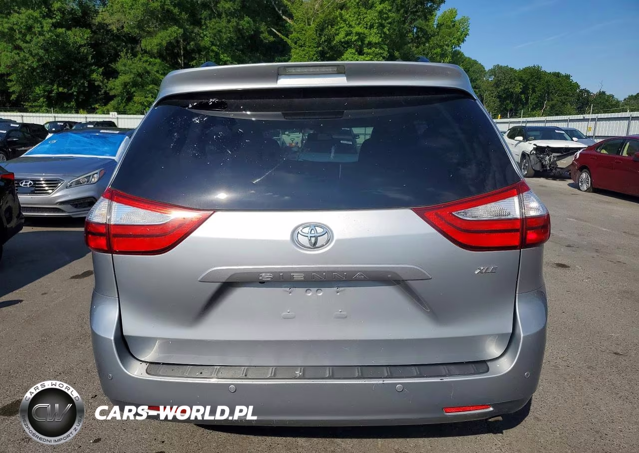 2017 Toyota Sienna Xle 8-Passenger VIN:5TDYZ3DC2HS830079 - 6