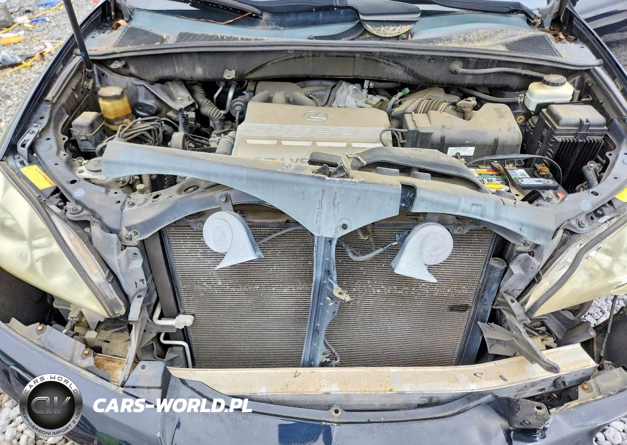 2006 Lexus Rx 330 VIN:2T2GA31U76C047714 - 12