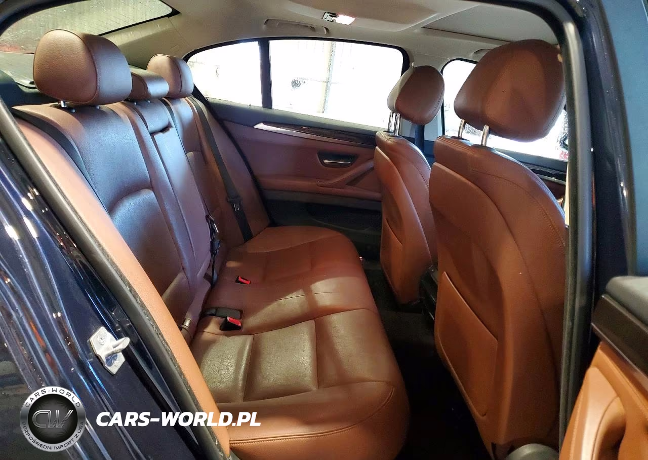 2014 BMW 528 Xi VIN:WBA5A7C51ED619013 - 10