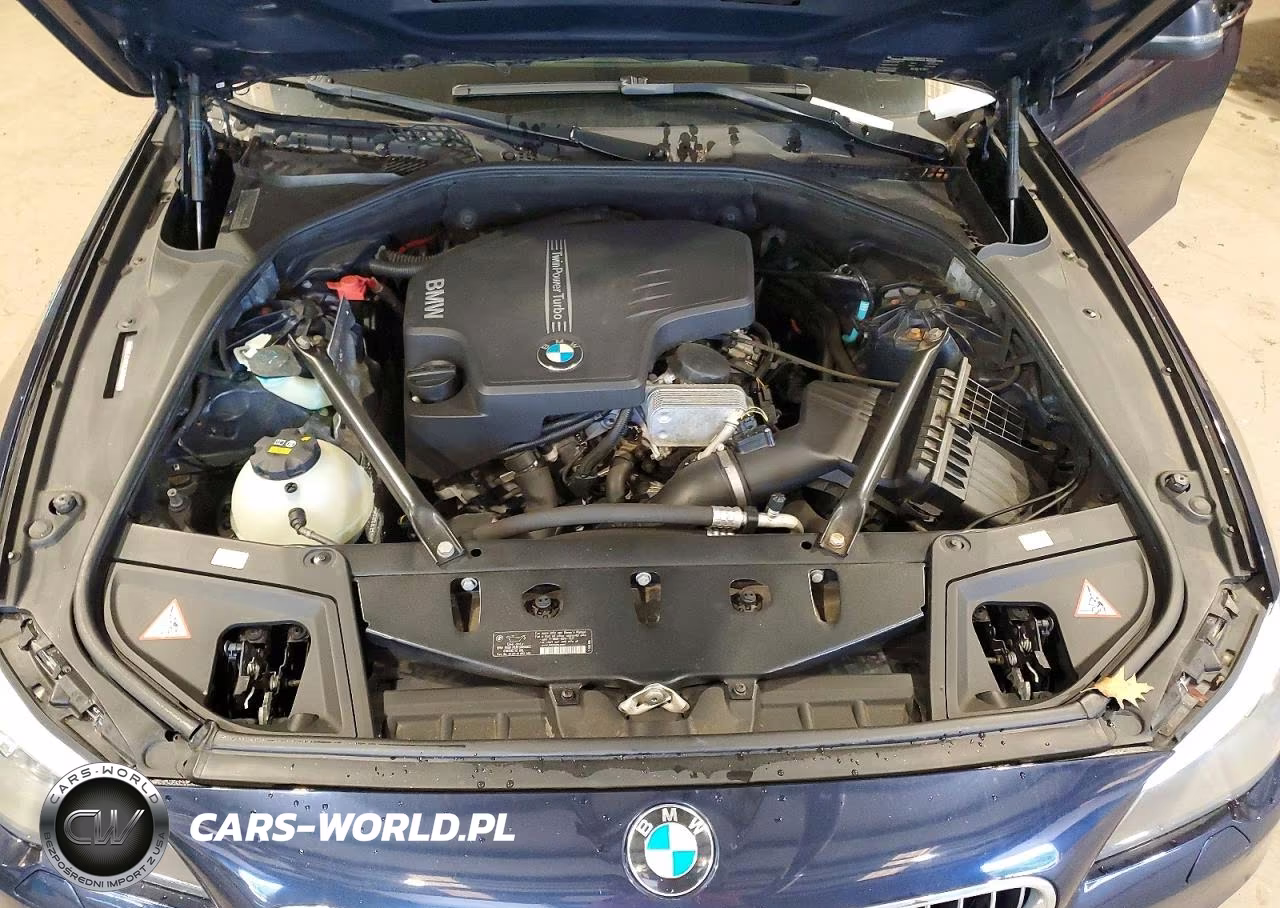 2014 BMW 528 Xi VIN:WBA5A7C51ED619013 - 11