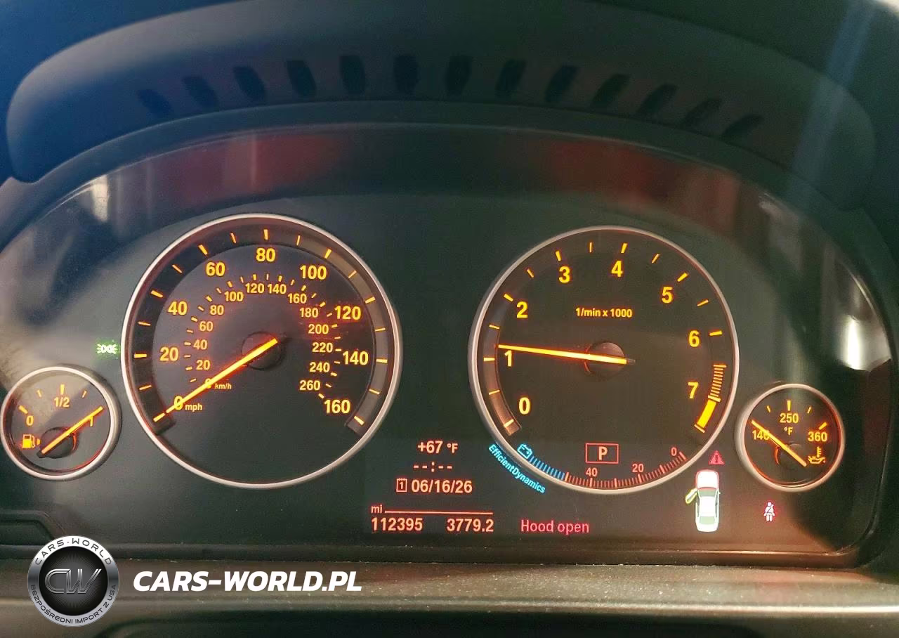 2014 BMW 528 Xi VIN:WBA5A7C51ED619013 - 9