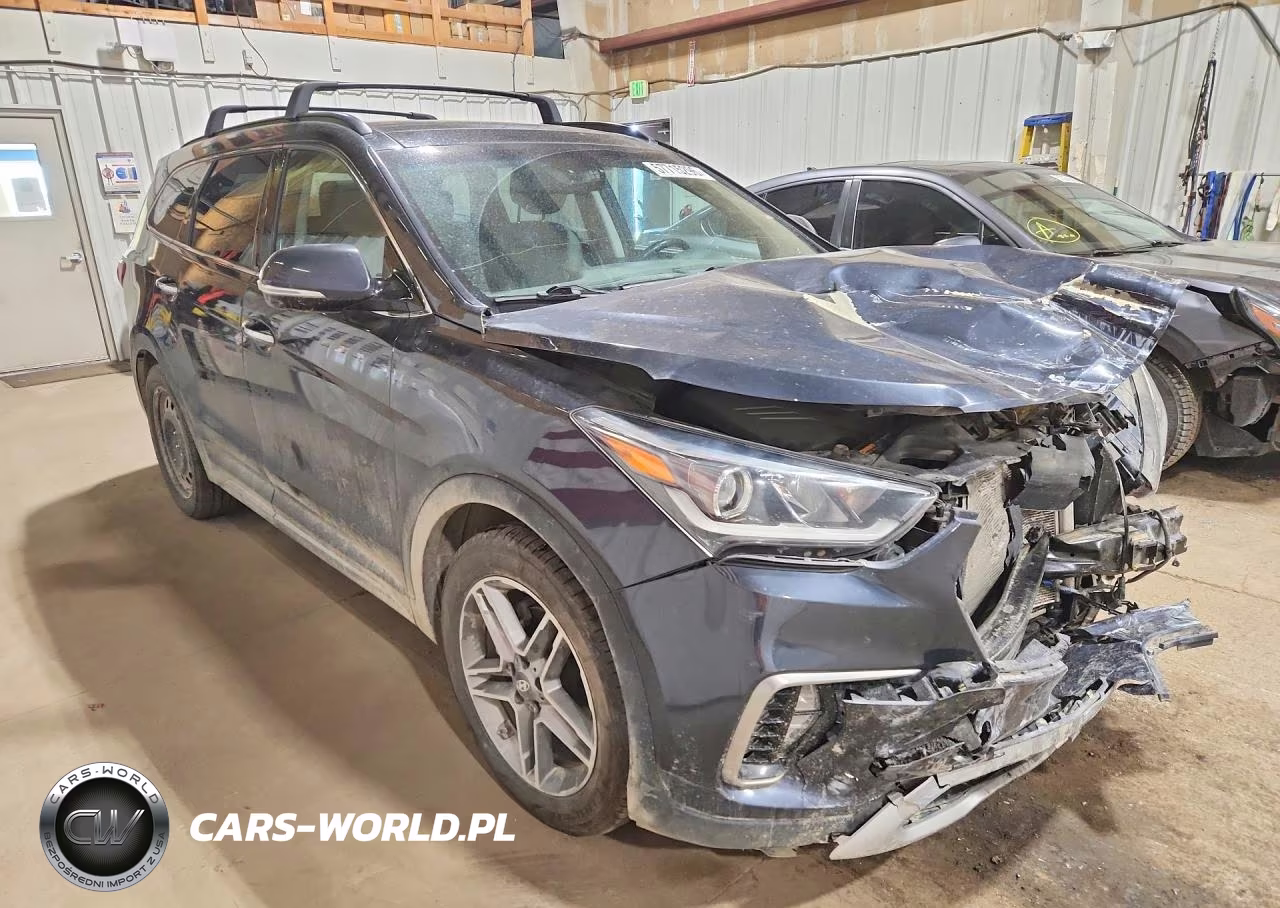 2017 Hyundai Santa Fe Limited Ultimate VIN:KM8SRDHF6HU216885 - 4