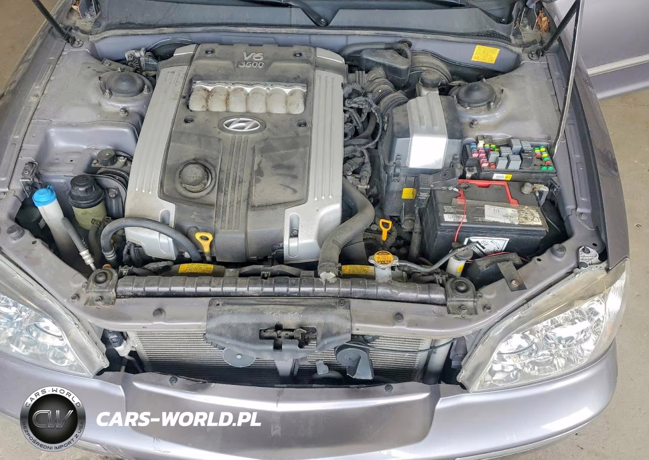 2005 Hyundai Xg 350 VIN:KMHFU45E45A401669 - 11
