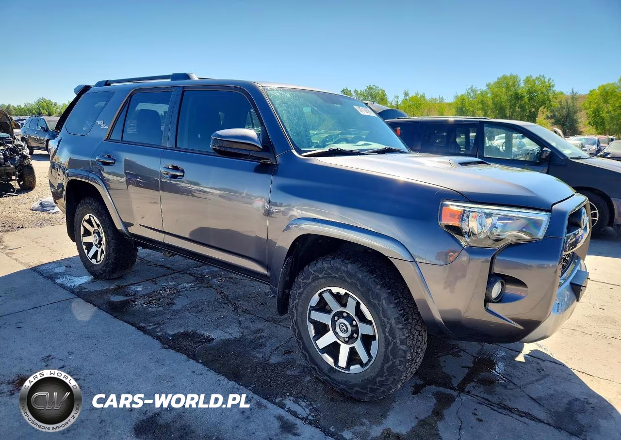 2019 Toyota 4Runner Trd Off-Road VIN:JTEBU5JR8K5669237 - 4