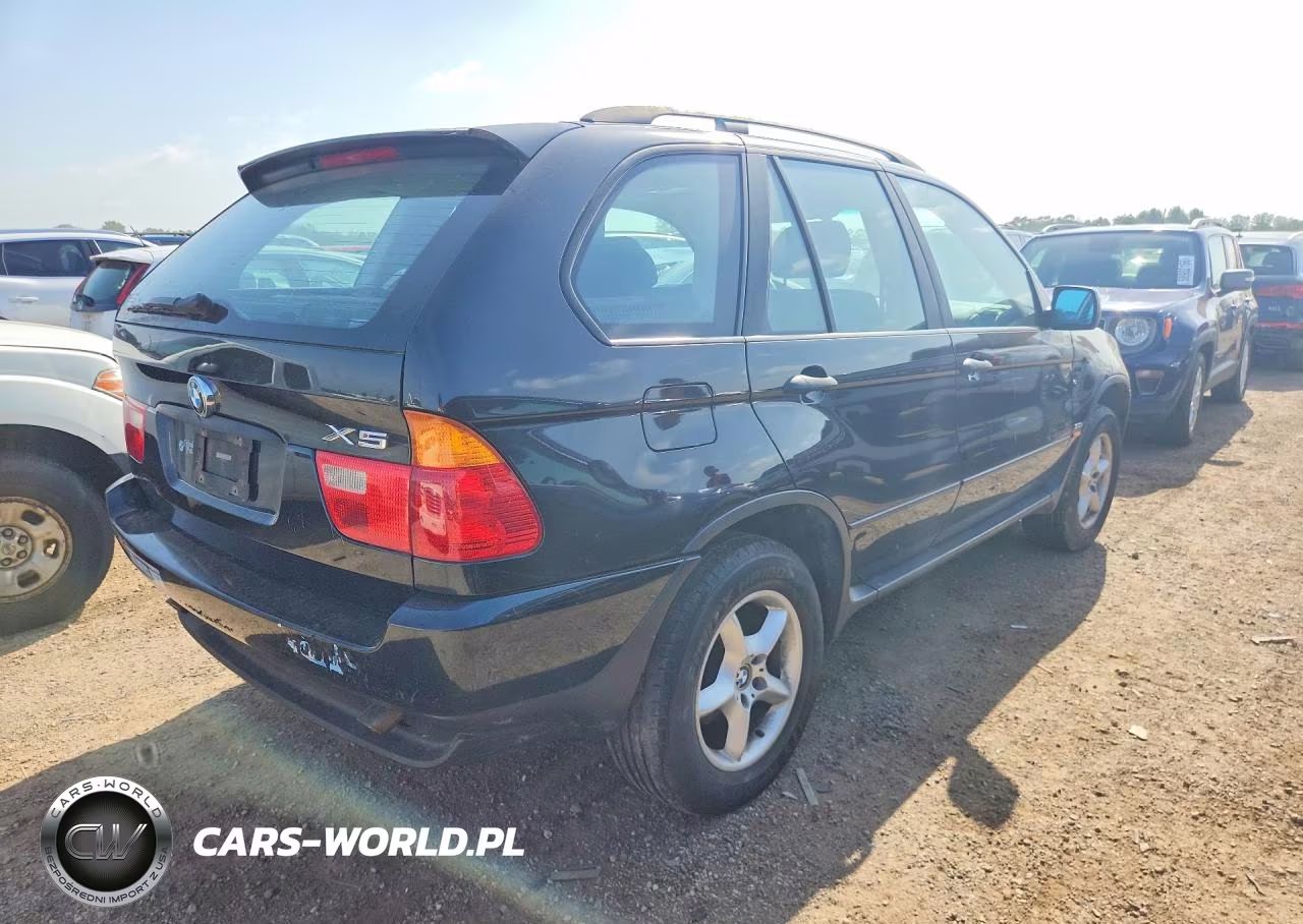 2002 BMW X5 3.0I VIN:5UXFA53532LP45093 - 3