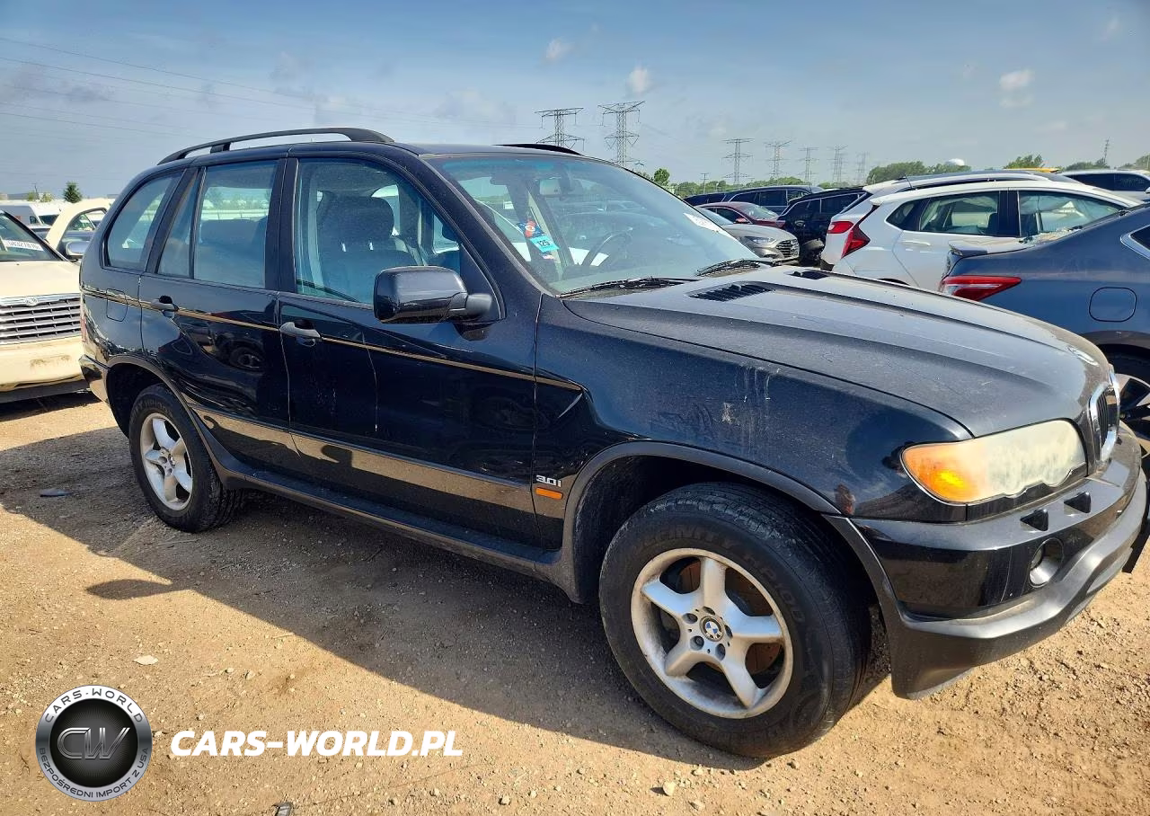 2002 BMW X5 3.0I VIN:5UXFA53532LP45093 - 4